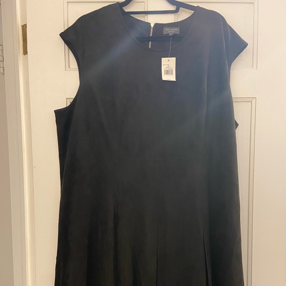 NWT Black Faux Suede Dress from The Limited 2X - Picture 3 of 5